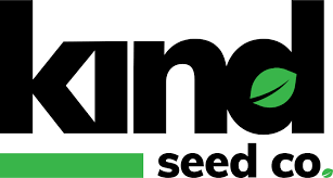 Exploring the World of Cannabis Seeds Hawaii