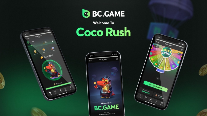 BC Game Crash Understanding the Mechanics and Strategies